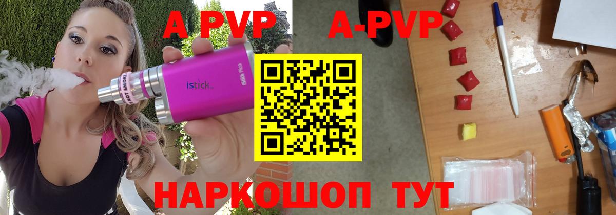 Alfa_PVP СК Выборг