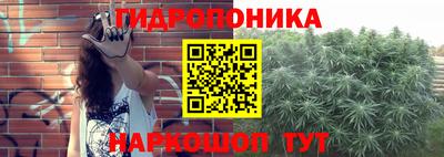 spice Лесосибирск