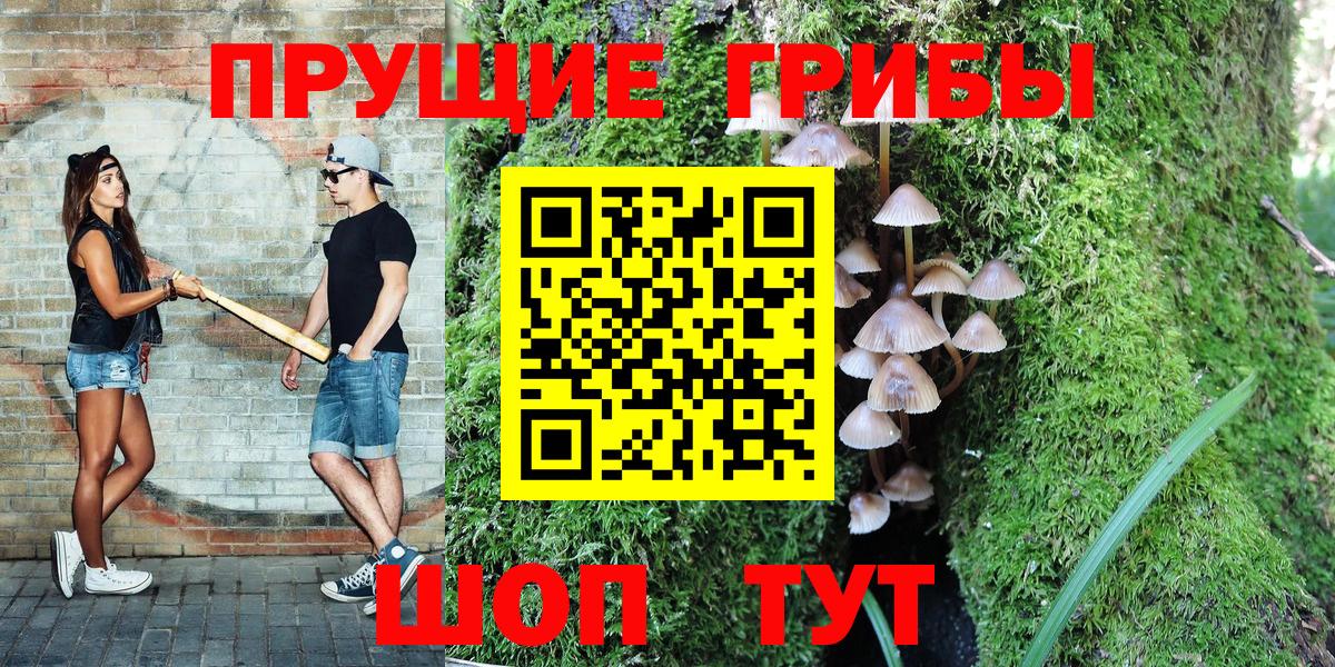Псилоцибиновые грибы MAGIC MUSHROOMS  Вход с VPN  Выборг  цены   Галлюциногенные грибы Magic Shrooms 